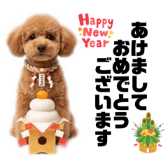 MATSUMOTO_20260322000708