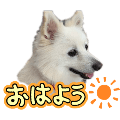 Kotaro01_20260321162334