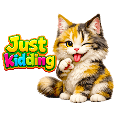 Adorable Cat 3D Common Chat