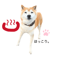 marutaco_20260321143151