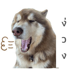 SeaGame_20260321152940