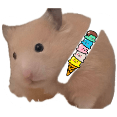 boring days_20260321185527