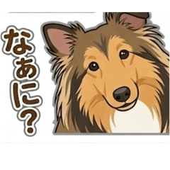 border_20260321191521