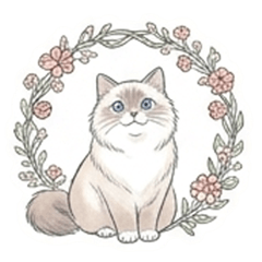 Siberian Forest Cat - Always by my side