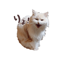 yamakawa_20260321145843