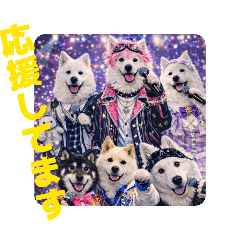 Our Dogs Who Became Idols #1