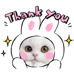 Bunny_20260321170349