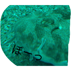 MANTA_20260321170441