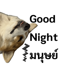 Gojo&fam_20260321163320