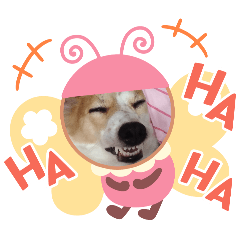 Nene._20260321170030