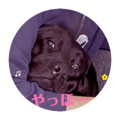 akarin_20260321154515