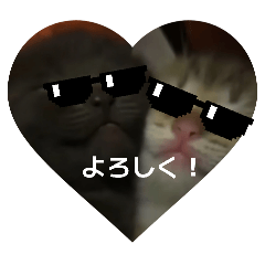 takeru_20260321155348