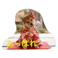 cheetos_20260321153959