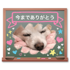 Hinana7_20260321182538