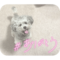 Akari_20260321195527