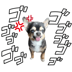 ainou_20260321165741