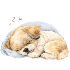 piyorn_20260321200941