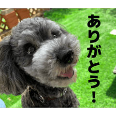 Danka_20260321211457