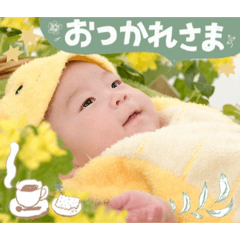 namihei73_20260321211755