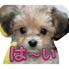 misaki_20260321203825