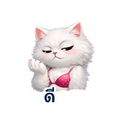 IpalmI_20260321220203