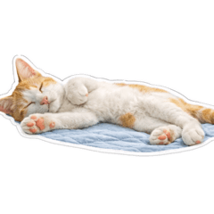 Ghost96_20260319143908