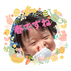 hirame_20260321204352