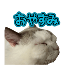 stampcat_LOVE