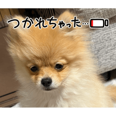 Kasumi_20260321220858