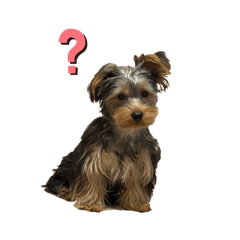 Hello_20260321210721