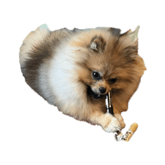 okogemaru_20260321210821