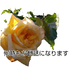 Rosegarden_20260321210023
