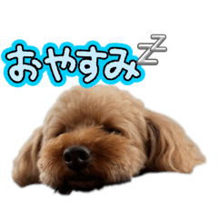 umaibou2_20260321211222