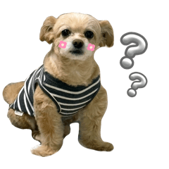 kochu_20260321223209