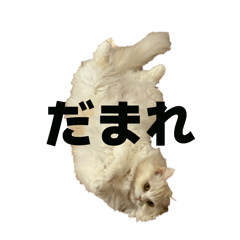 Tanaka_20260321213509