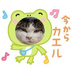 kaerukunn_20260321213642