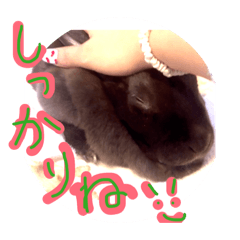 mamamiho_20260321213448