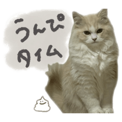 kawaiinekochan_20260321214325