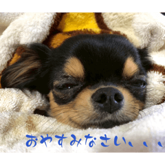 bobby.547_20260321213915