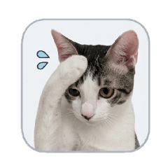 澎澎丁滿-真實丁滿篇