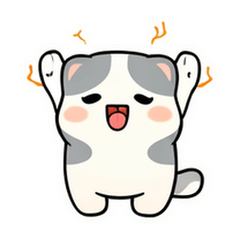 말랑 얼룩 고양이