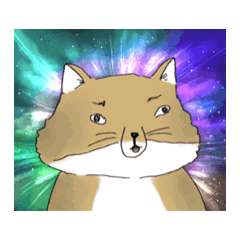 狐界帥鍋（無語系）