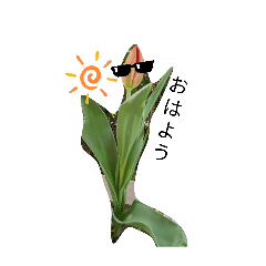 Suyama_20260321192434