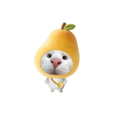 水果貓ت
