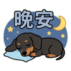 可愛黑臘腸狗01-日常用語