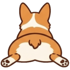 柯基犬 ♡ 小短腿的療癒日常