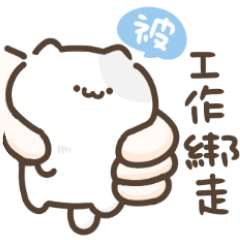 Cute cat for everyday use stickers 3!