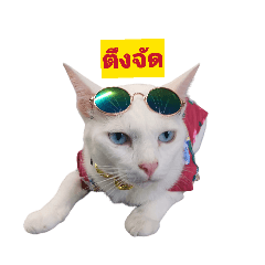 chanom_20260321225737