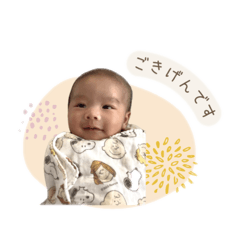 haruto.mam_20260321180230