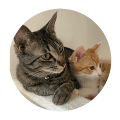 oshita_20260321224644